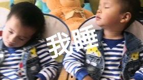 娱乐吃瓜酱打瞌睡