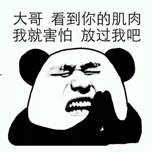 肌肉男表情包,展现力量与幽默的视觉盛宴